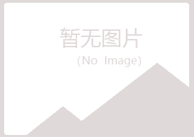 夏河县尔岚采矿有限公司